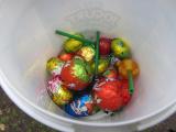 Chasse aux oeufs
